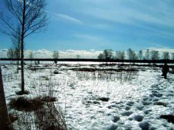 Die sch�ne finnische Landschaft